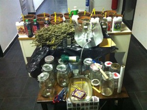 La droga sequestrata dai carabinieri di Orte 
