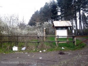 Ingresso pineta