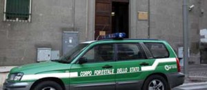 Operazione Genio e sregolatezza, il blitz della forestale al Genio civile di Viterbo