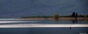 Una panoramica del lago di Vico - Sante Cerica 