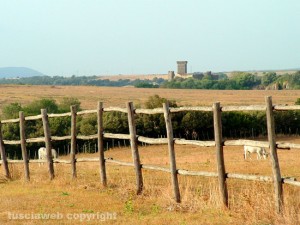 Parco naturalistico archeologico di Vulci, sullo sfondo il castello della Badia
