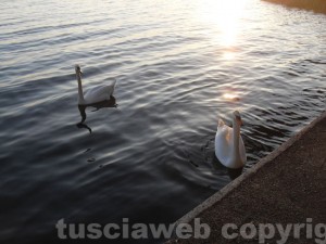 Il tramonto sul lago di Bolsena 