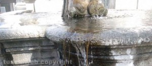 Viterbo - La fontana del comune in pessime condizioni