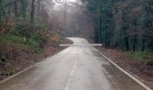 Strada provinciale Valle di Vico