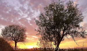 Alba dall'Acquetta 