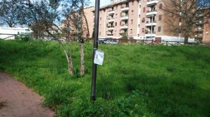 Il progetto della nuova palestra