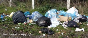 L'immondizia ai lati della Cimina
