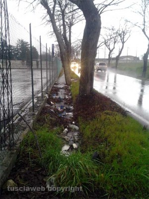 I rifiuti nelle cunette laterali della strada