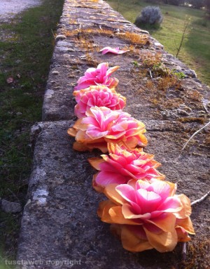 Fiori su un muretto