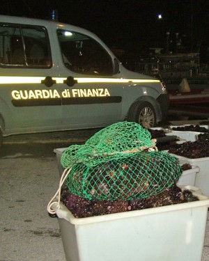 I ricci sequestrati dalla finanza 