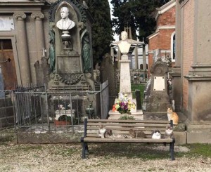 La colonia di gatti al cimitero