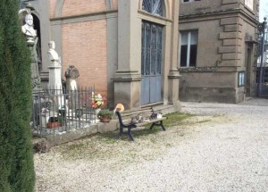 La colonia di gatti al cimitero