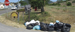 Rifiuti in strada Gregoriana