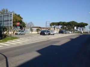 Nuovi alberi al parcheggio della scuola Rodari 