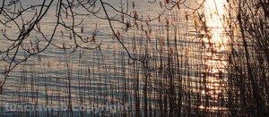 Il lago di Bolsena visto da Montefiascone