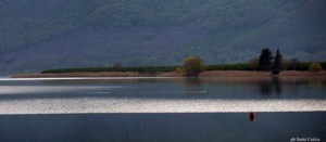 Una panoramica del lago di Vico - Sante Cerica