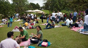Un picnic