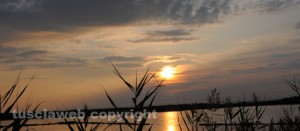 Il tramonto alle Saline - Vincenzo Bonanni