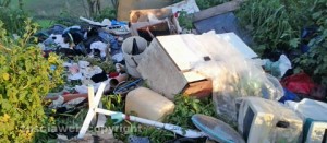 La discarica a Ferento
