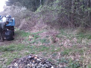 I volontari di Viterbo civica al lavoro sulla Cmina