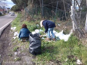 I volontari di Viterbo civica al lavoro sulla Cmina