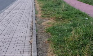 Viterbo - Degrado al parco della solidarietà