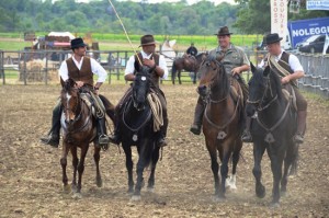 Butteri a cavallo 