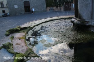Fontana a piazza del Gesù ricoperta di melma