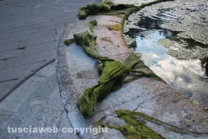 Fontana a piazza del Gesù ricoperta di melma