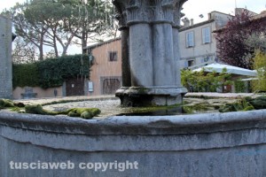 Fontana a piazza del Gesù ricoperta di melma