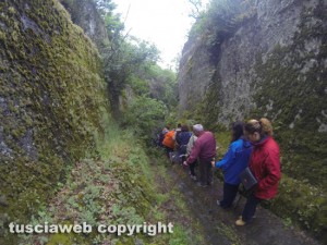 Passeggiata nei luoghi di Pasolini - Una tagliata etrusca