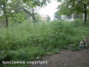 Il giardino della Mazzetta a Viterbo
