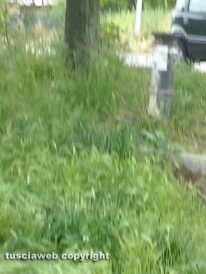 Il giardino della Mazzetta a Viterbo