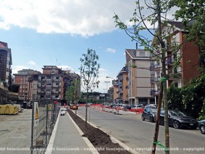 I primi alberi a via Genova