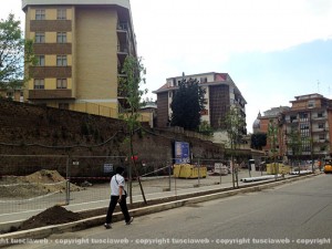 I primi alberi a via Genova