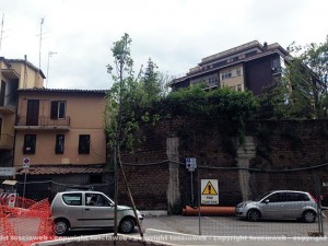 I primi alberi a via Genova
