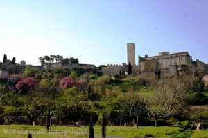 Tarquinia - Santa Maria in Castello - Foto bruno Ciuffatelli