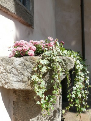 Giornata nazionale del giardino
