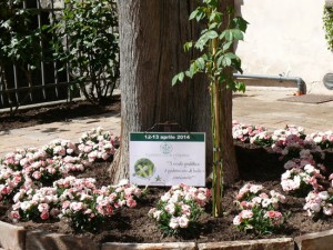 Giornata nazionale del giardino