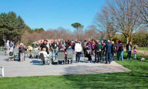 Parco dei Cimini