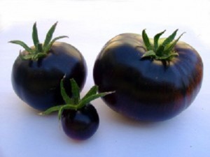 Il pomodoro nero