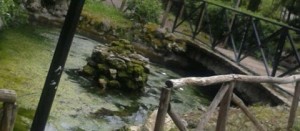 Il laghetto di Anna a Pratogiardino