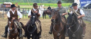 Butteri a cavallo
