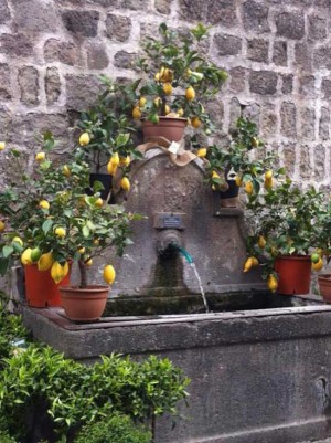 Una fontana di Viterbo