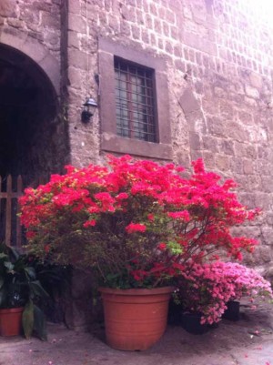 Uno scorcio di Viterbo