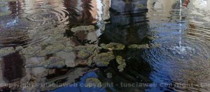 La fontana di Pianoscarano piena di melma