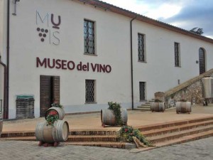 Il Muvis