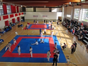 Karate