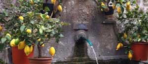 Una fontana di Viterbo