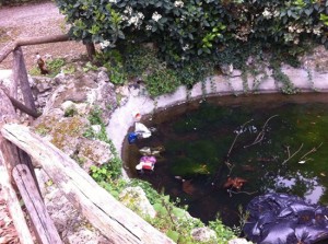 Rifiuti nel laghetto di Pratogiardino